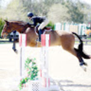 Meet your Posher, Natalie